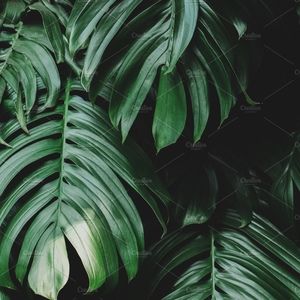 Meet your Posher, Tiffani